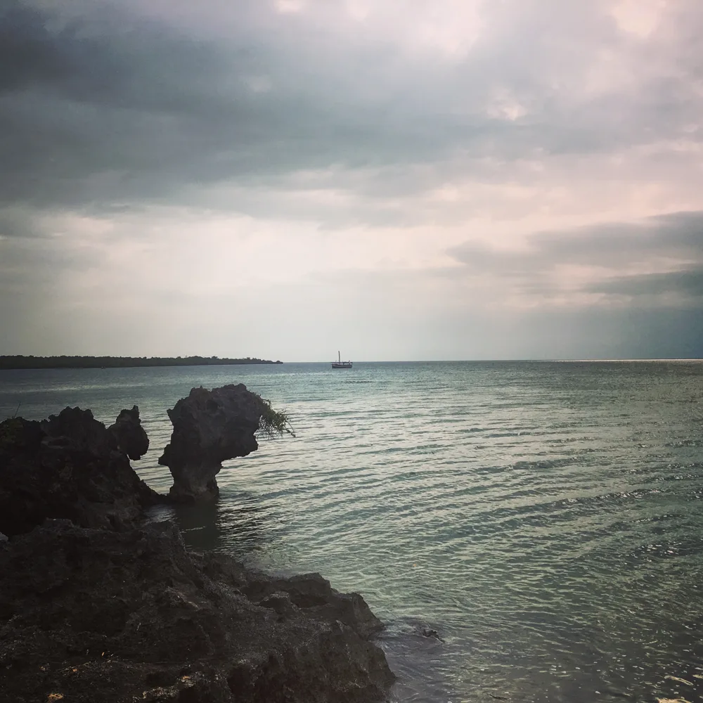 Rocky shoreline and a distant boat in the Kisite-Mpunguti marine area, photographed in January 2018